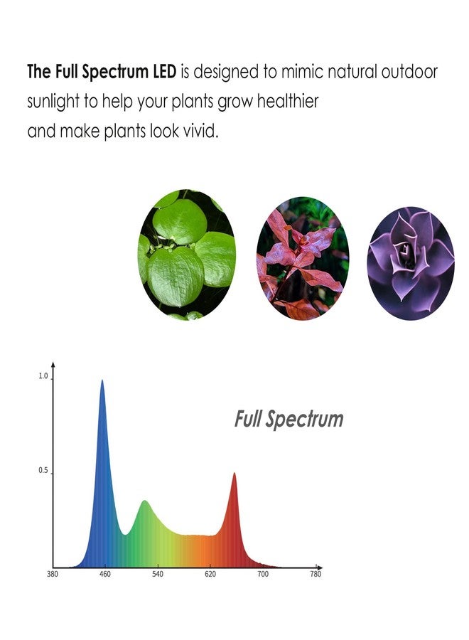 HIRO AQUATICS 2 in 1 Full Spectrum Clip-On Aquarium Plant Grow Light, Freestanding Freshwater Fish Tank LED Light, 5Watts - Image 3